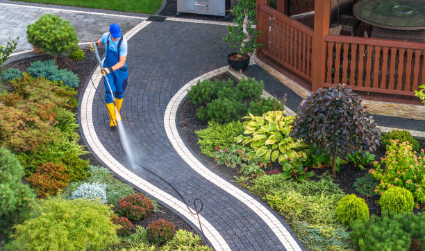 Best Pressure Washing Driveway  in Pecan Acres, TX