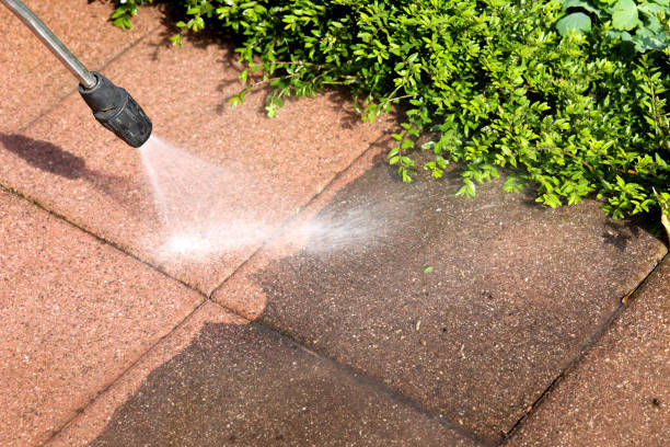 Best Best Pressure Washing Companies  in Pecan Acres, TX