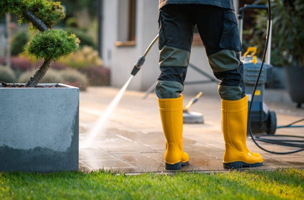 Best Pressure Washing Near Me  in Pecan Acres, TX